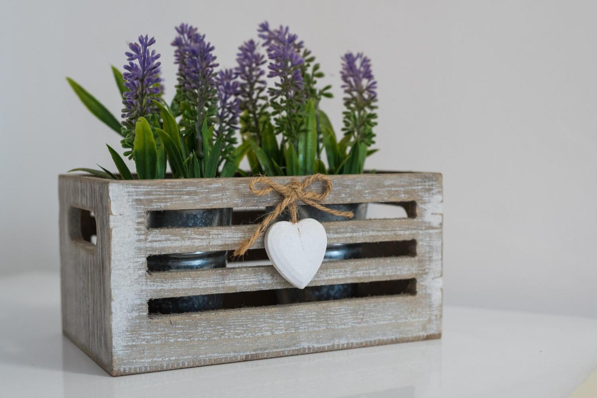 Travelershome Ciampino 170 Station Street Eksteriør billede